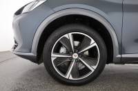 Cupra Formentor 2.0 TDI 4Drive Standhzg.