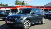 Vorschau: Skoda Kamiq 1.0 TSI Clever