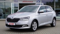 Vorschau: Skoda Fabia 1.0 TSI Style