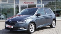 Vorschau: Skoda Fabia 1.0 TSI Soleil