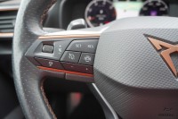 Cupra Formentor 2.0 TDI 4Drive