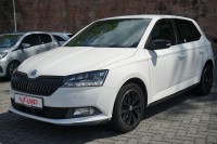 Vorschau: Skoda Fabia 1.0 TSI Monte Carlo