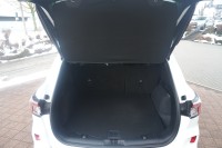 Ford Kuga Plug-In Hybrid ST-Line X