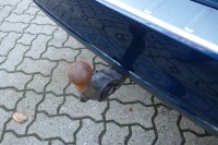 VW Passat Variant 2.0 TDI Business DSG