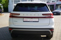 Skoda Kodiaq 2.0 TDI DSG