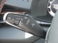 Cupra Terramar 1.5 eTSI DSG