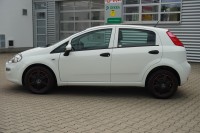 Fiat Punto 1.2 Young