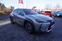 Lexus UX 2.0 Hybrid 250 h