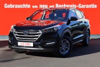 Vorschau: Hyundai Tucson 1.6 blue