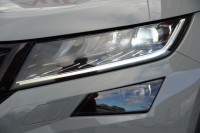 Skoda Kodiaq RS 2.0 Bi-TDI 4x4 DSG