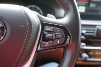 BMW 530 530i xDrive Luxury Line