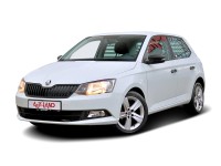 Skoda Fabia 1.0l MPI Active Green tec Bluetooth Einparkhilfe hinten Bordcomputer