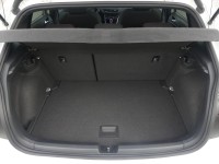 VW Polo 2.0 TSI GTI