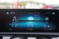 Mercedes-Benz A 250 A250 AMG Line