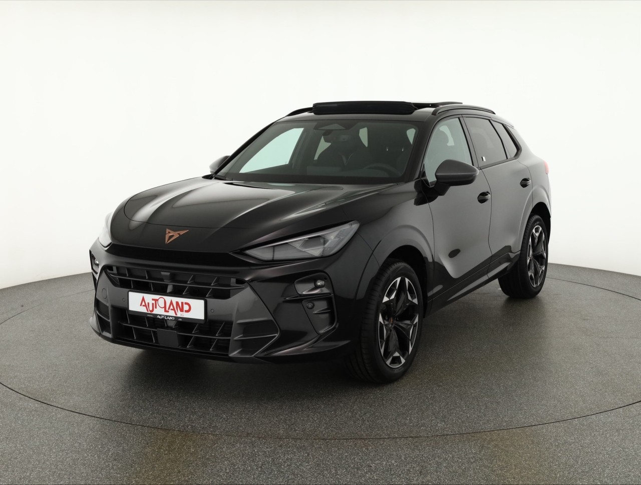 Cupra Terramar VZ 2.0 TSI 4Drive DSG
