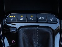 Kia Stonic 1.0 M-Hybrid Platinum Edition