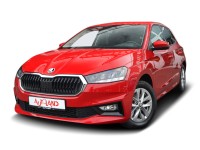 Skoda Fabia 1.0 TSI DSG 2-Zonen-Klima Sitzheizung LED