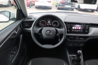 Skoda Kamiq 1.0 TSI