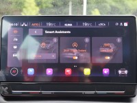 Cupra Formentor 2.0 TSI VZ