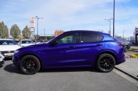 Alfa Romeo Stelvio 2.0 Veloce Q4