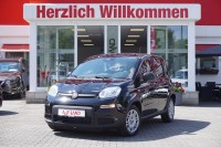 Vorschau: Fiat New Panda Pandina 1.0 mHEV