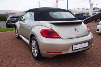 Vorschau: VW Beetle Cabriolet 1.2 Club BMT