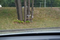 Mercedes-Benz GLC 350 d 4Matic