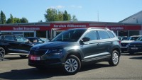 Vorschau: Skoda Karoq 1.0