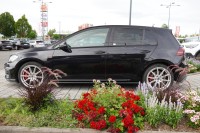 VW Golf VII 2.0 GTI Performance DSG