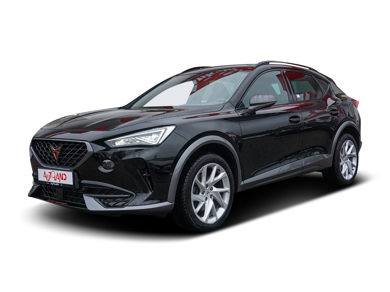 Cupra Formentor 2.0 TDI 4Drive DSG