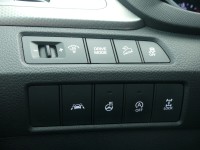Hyundai Grand Santa Fe 2.2 T-GDI Premium 4WD
