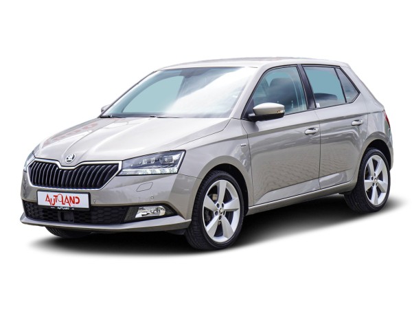 Skoda Fabia 1.0 TSI Clever