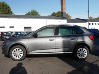 Vorschau: Skoda Kamiq 1.0 TSI DSG