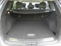 Renault Koleos 2.0 dCi Initiale Paris 4x4