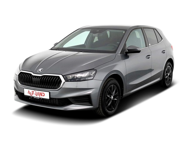 Skoda Fabia 1.0...