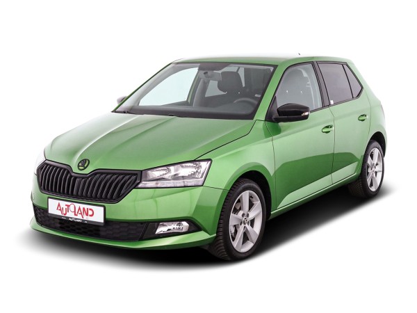 Skoda Fabia 1.0 MPI Clever