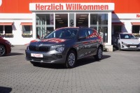 Vorschau: Skoda Kamiq 1.0 TSI DSG