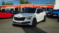 Vorschau: Skoda Kamiq 1.0 Monte Carlo