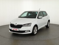 Skoda Fabia 1.0 TSI Clever LED SmartLink Sitzheizung