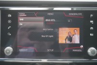 Cupra Ateca 2.0 TSI 4Drive DSG