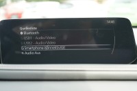 Mazda CX-30 2.0 M-Hybrid Homura Aut.