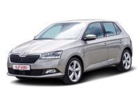 Skoda Fabia 1.0 TSI Clever LED ACC SmartLink Klimaaut.