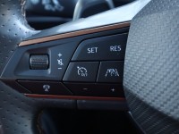 Cupra Formentor 2.0 TDI 4Drive