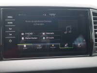 Skoda Karoq 2.0 TSI Sportline 4x4 DSG