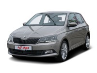 Skoda Fabia 1.0 MPI Clever SmartLink Tempomat Navi PDC