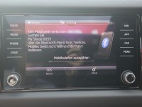 Skoda Kodiaq RS 2.0 TSI DSG 4x4