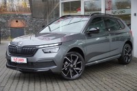 Vorschau: Skoda Kamiq 1.5 TSI Monte Carlo