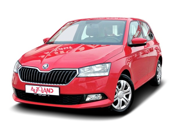 Skoda Fabia 1.0 TSI