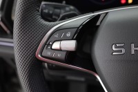 Skoda Kodiaq 2.0 TDI DSG 4x4