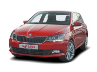 Skoda Fabia 1.0 MPI Clever Sitzheizung Tempomat Bluetooth